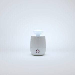 Mini Facial Steamer
